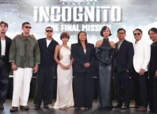 “Incognito” Maintains Top 10 Standing On Netflix And iWant In Finale Week